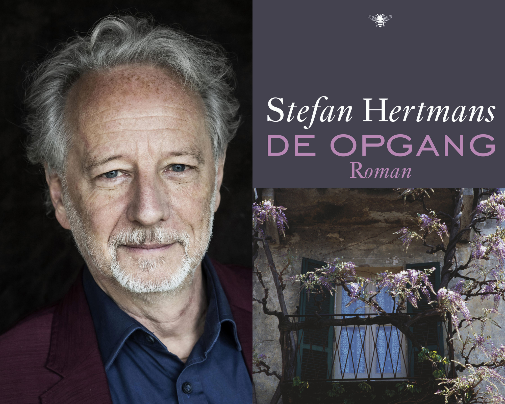 Stefan Hertmans De opgang