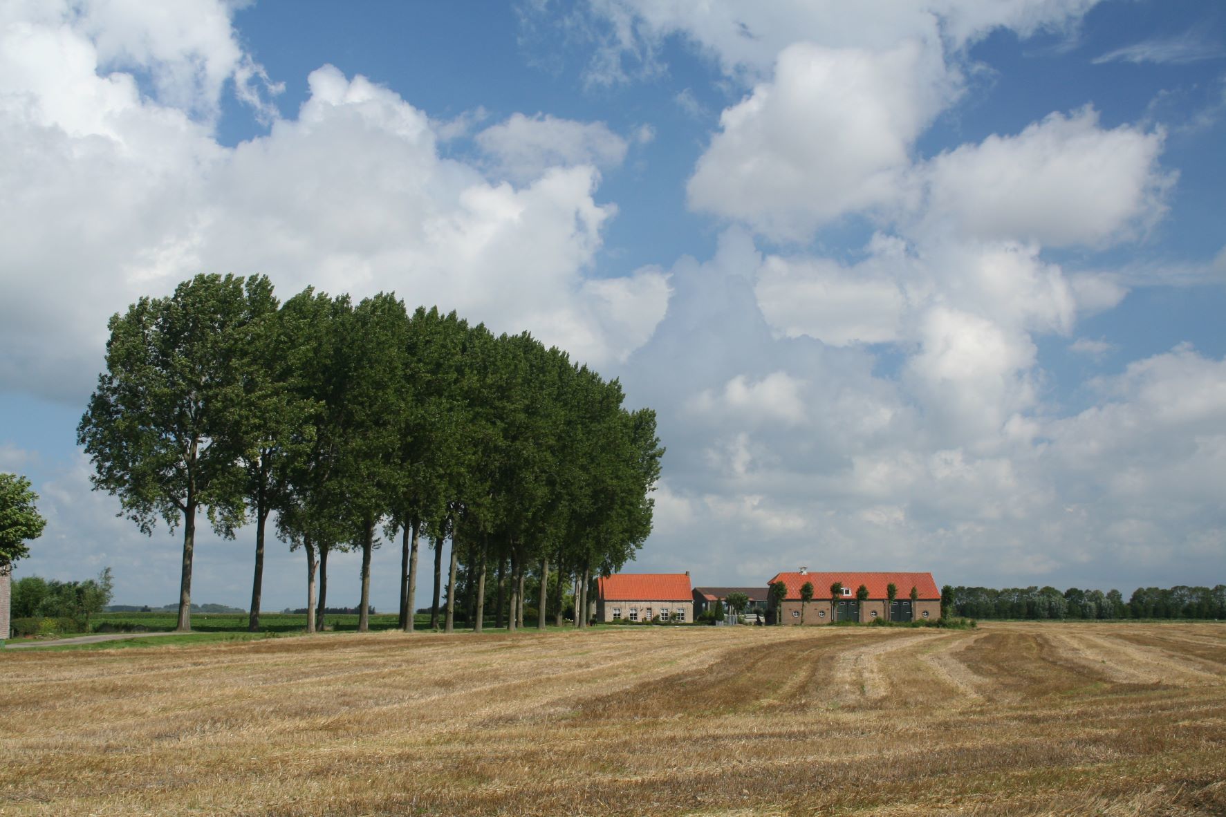 Zeeuwse boerderij met grond