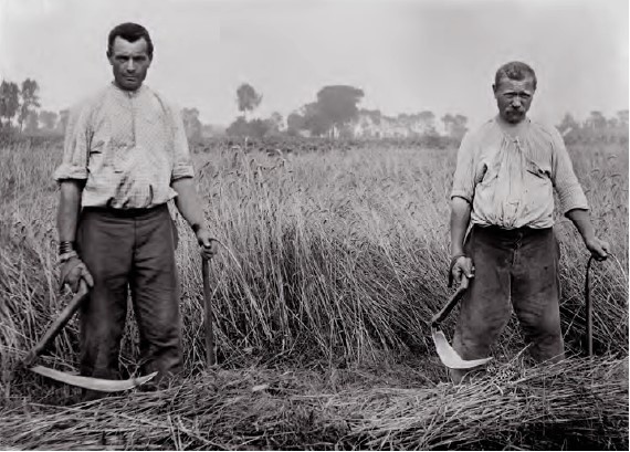 Twee boeren