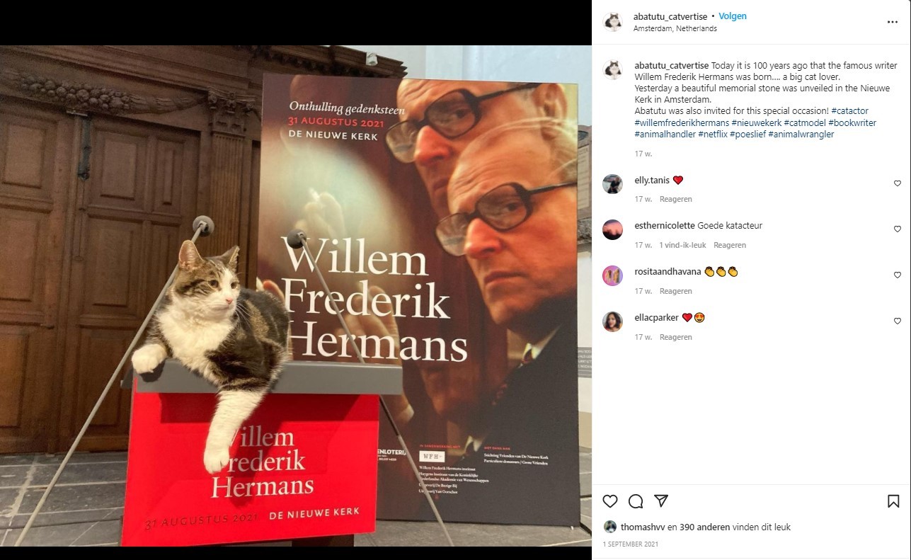 Abatutu op Instagram WF Hermans