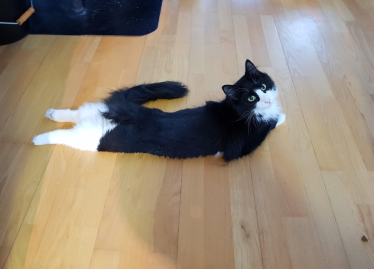 Huldra90 sploot