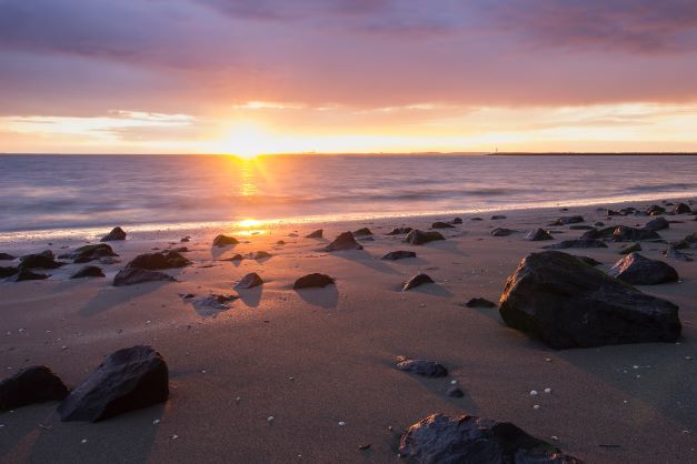 1 Westerschelde c hilbert simonse Unsplash aangepast