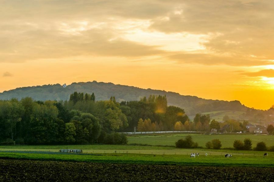 Kemmelberg toerisme heuvelland