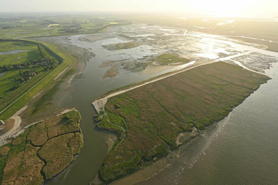 Hedwige Prosperpolder