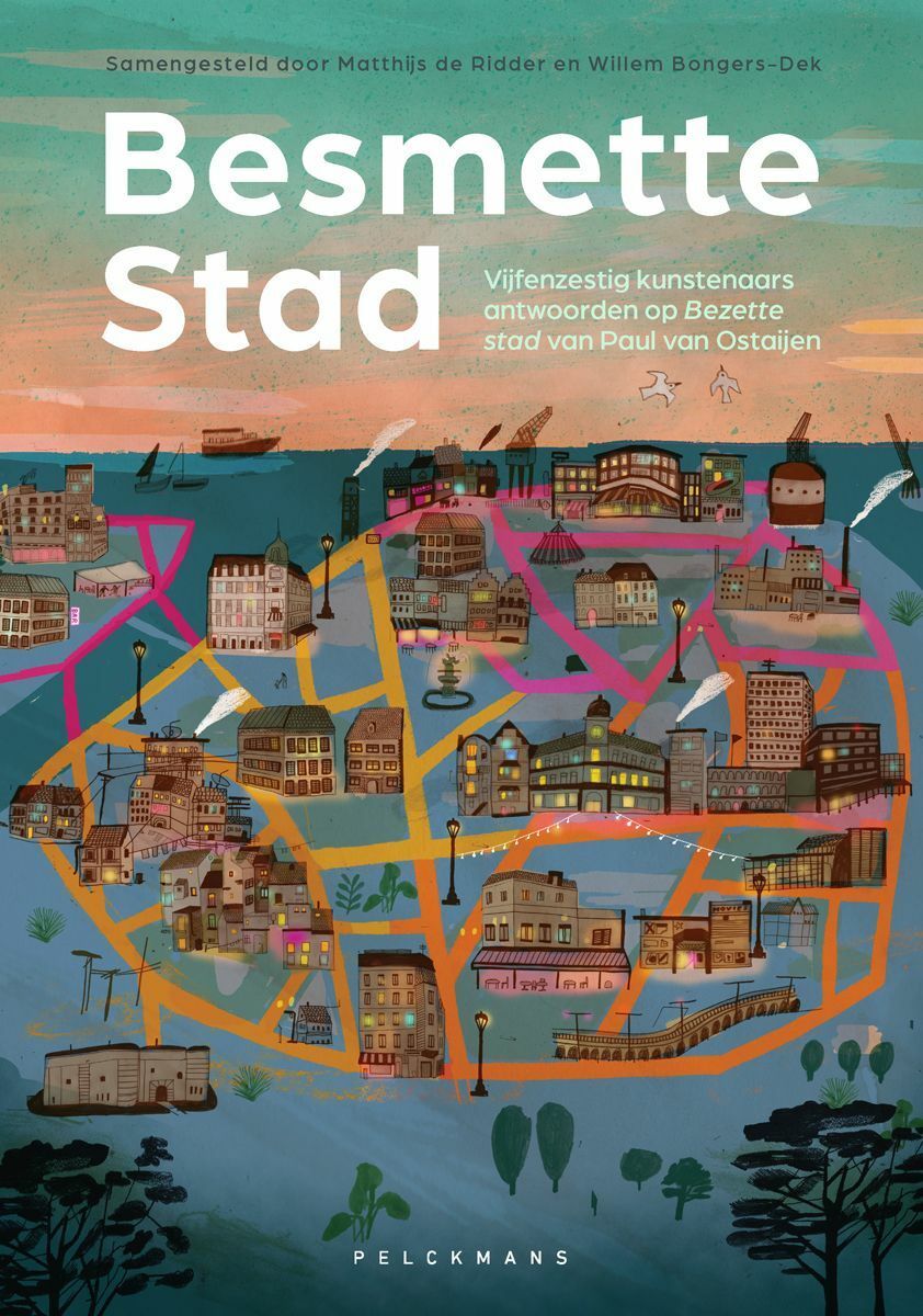 Besmette Stad boek