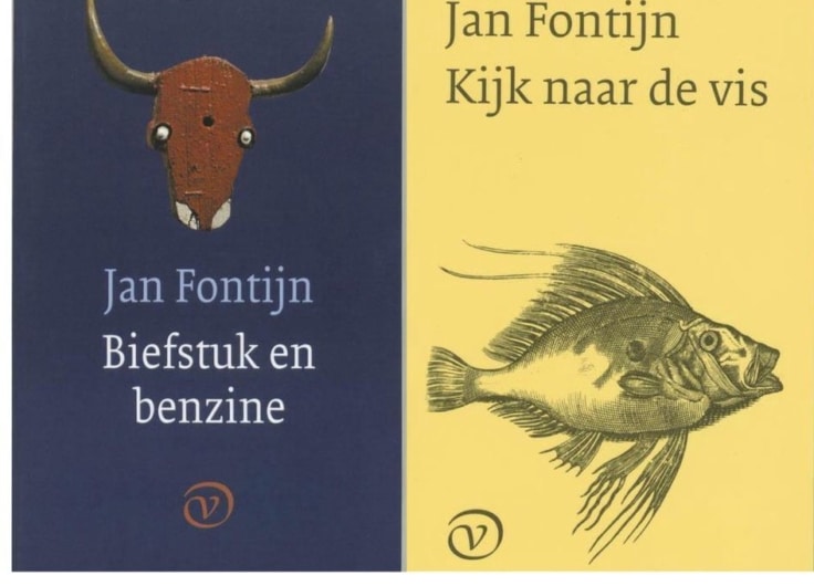 Fontijn biefstuk en vis