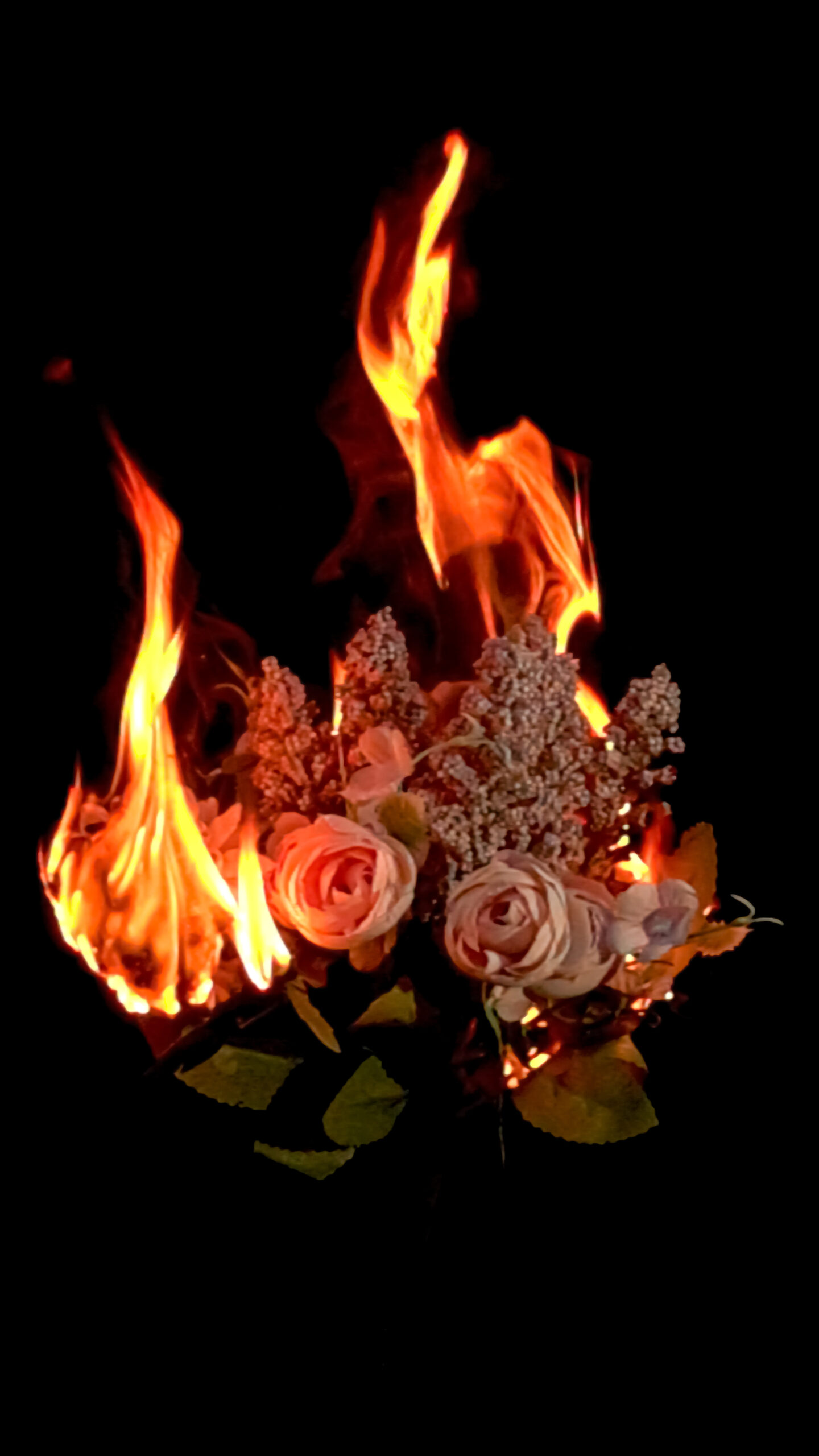 Full montage flower flames Ibe Ryde Still092