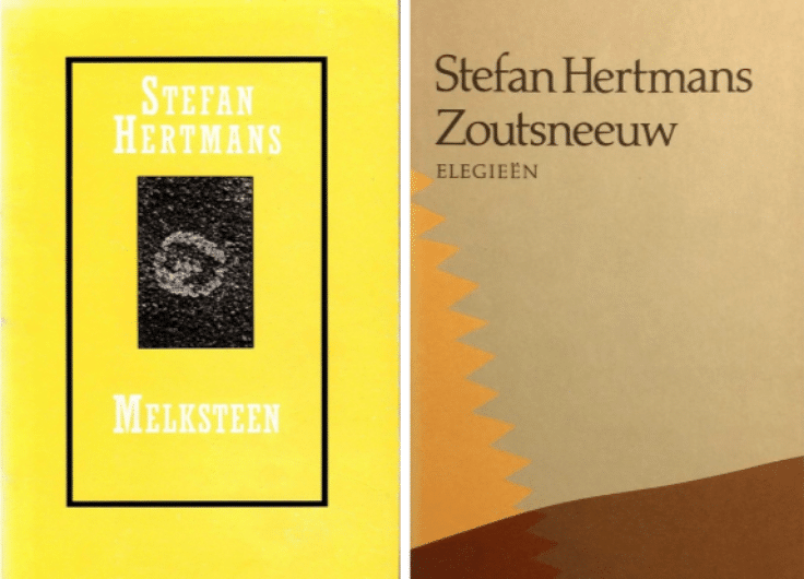 Hertmans Melksteen Zoutsneeuw