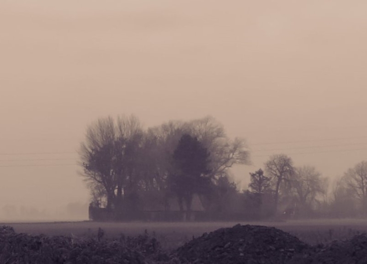 III-6-Eerste-etappe-Buisscheure-Abeele-Straete-zicht-op-boerderij-tussen-bomen