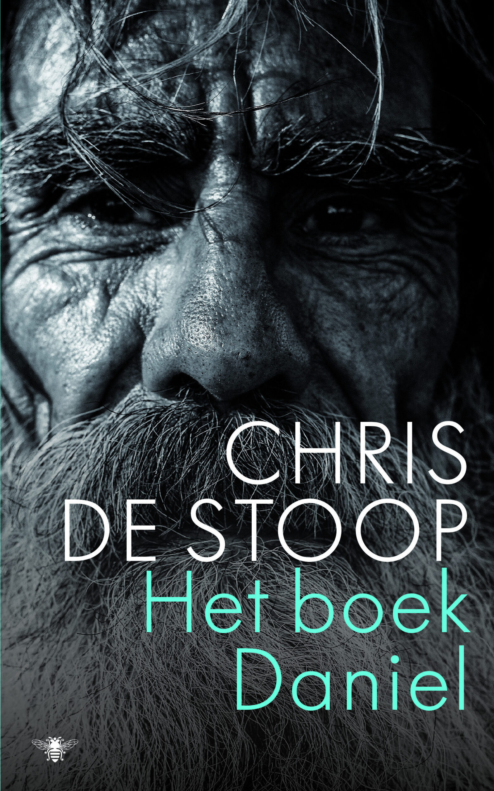 RECENSIE 1 Chris De Stoop Het boek Daniel