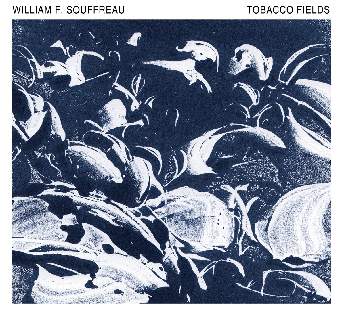 Tobacco Fields William Souffreau