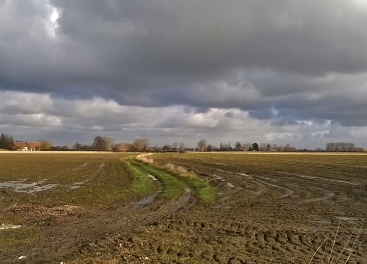 VII-6-Vijfde-etappe-aardeweg-na-Steene-Straete