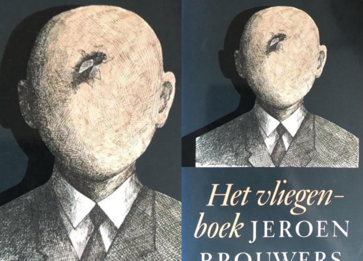 Het vliegenboek 2