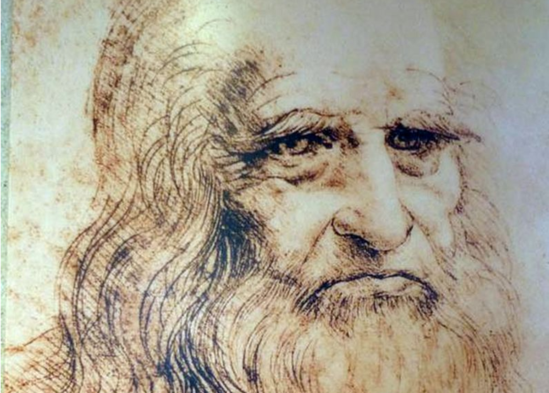 Leonardodavinciselfportrait