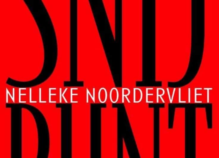 Nelleke noordervliet snijpunt