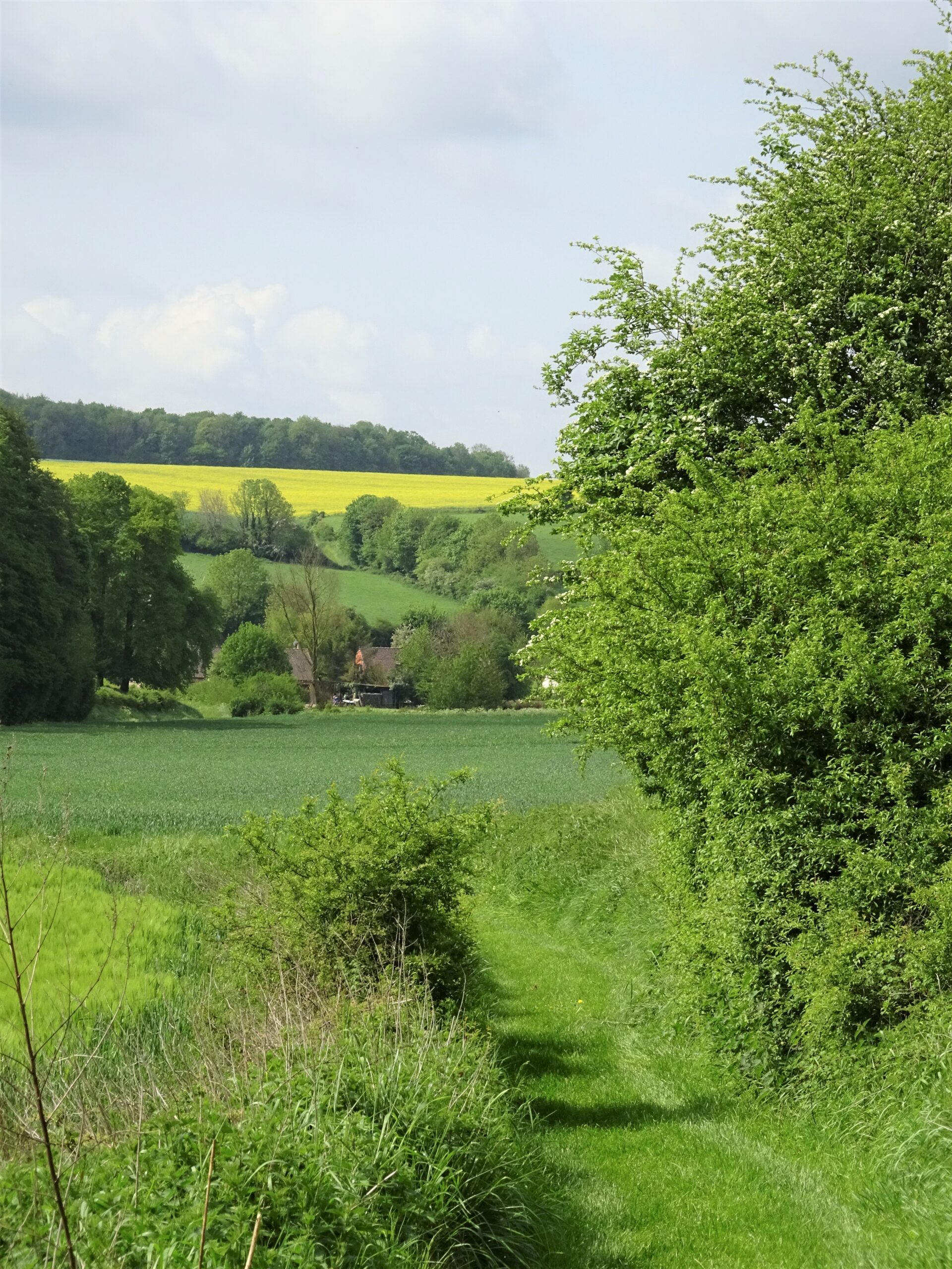 Wandelweg